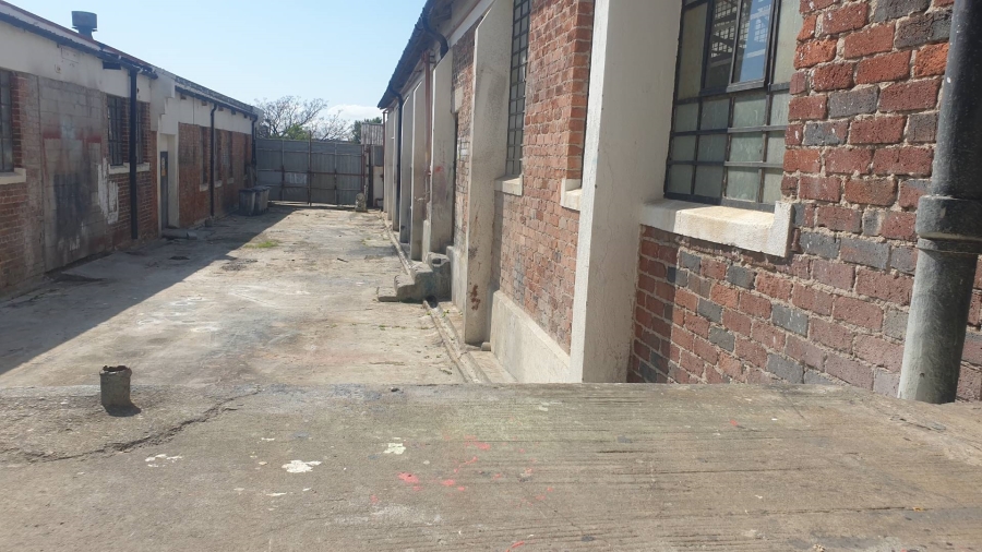 To Let Commercial Property for Rent in Salt River Western Cape